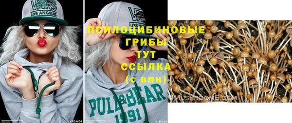 PSILOCYBIN Тында