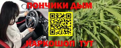 гидра Беслан