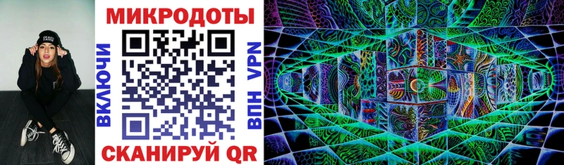Галлюциногенные грибы Psilocybe Чебоксары