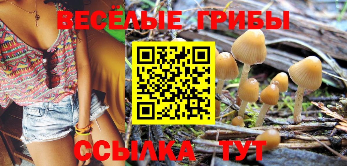Чебоксары  Псилоцибиновые грибы Psilocybine cubensis  Галлюциногенные грибы Psilocybine cubensis  Вход с VPN 