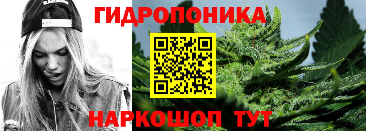 Конопля  Чебоксары  Сколько стоит  Мефедрон   Меф   МЕТ  Гашиш  Гашиш  Cocaine 